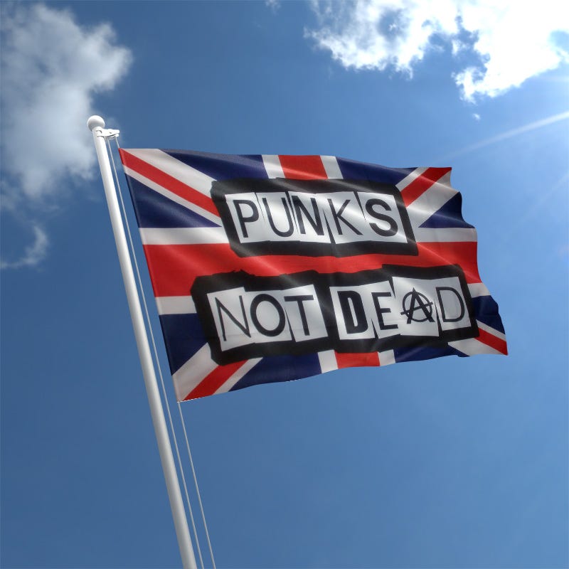 Punks Not Dead Flag | The Flag Shop