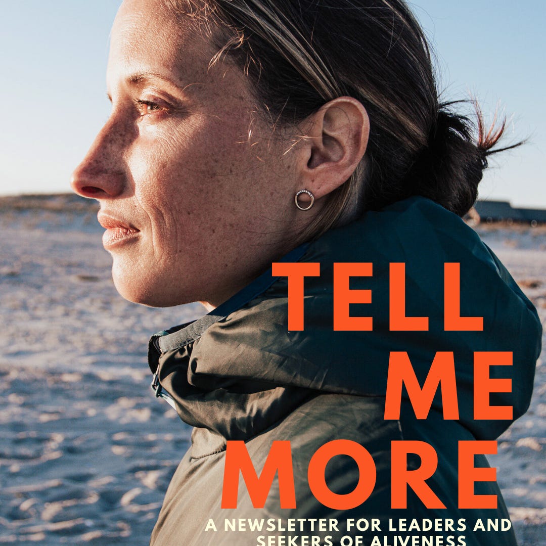 Tell Me More: A Newsletter for Leaders and Seekers