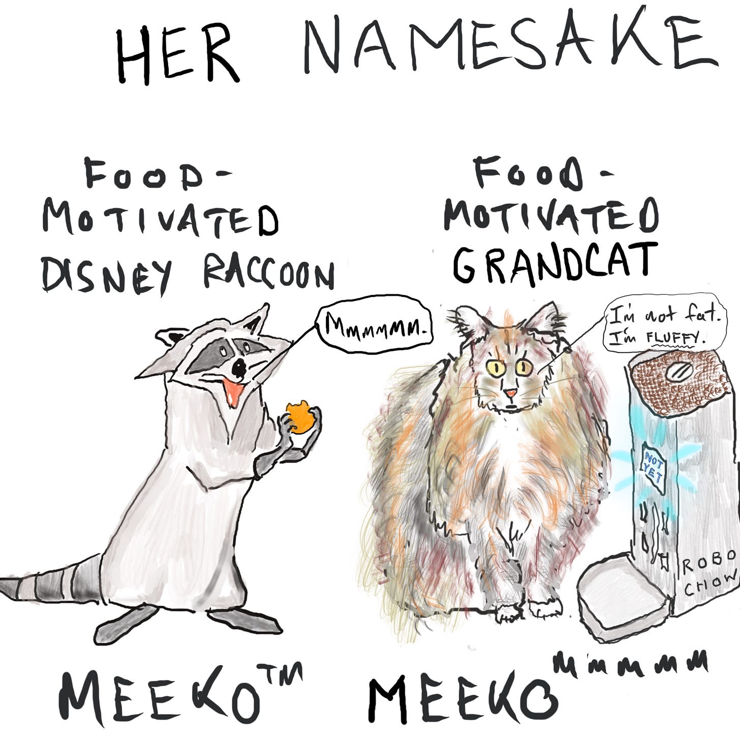 Meeko the raccoon and Meeko the Cat