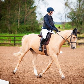 Dressage competitors in action at Ardnacashel