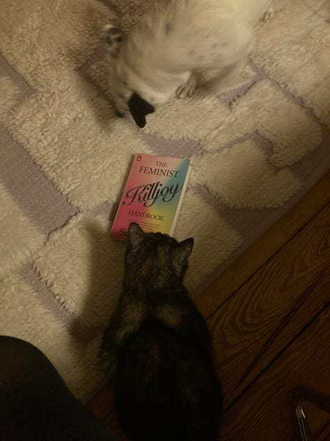 Images from January's book club where we discussed How to be a Feminist Killjoy by Sara Ahmed