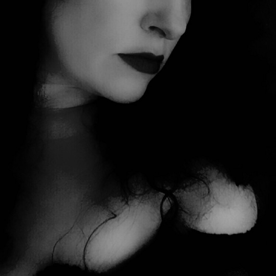 Velvet and Verse