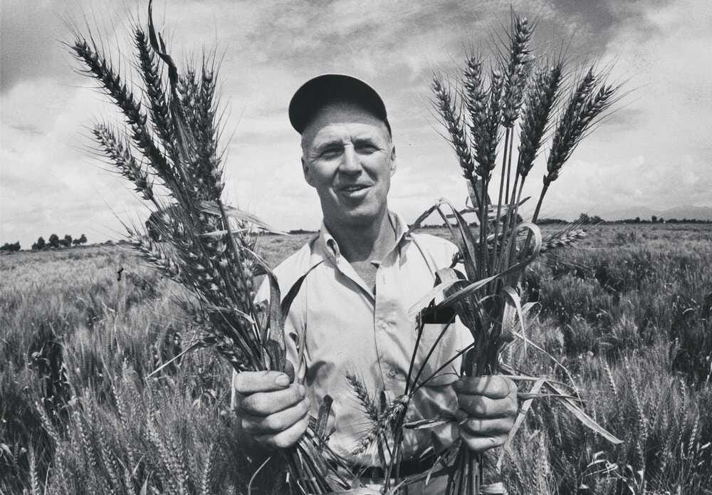 No Silver Bullet Solution': Norman Borlaug and the Green Revolution |  American Experience | Official Site | PBS