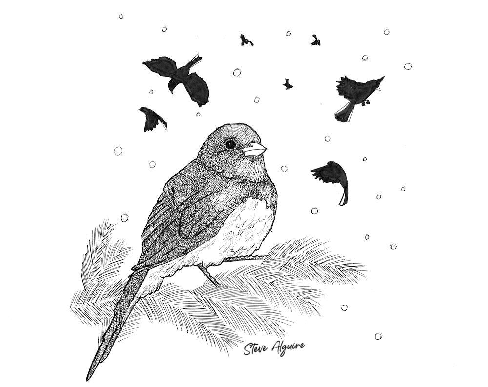 A Dark-eyed Junco perches on a pine branch while other birds and snowflakes fill the sky
