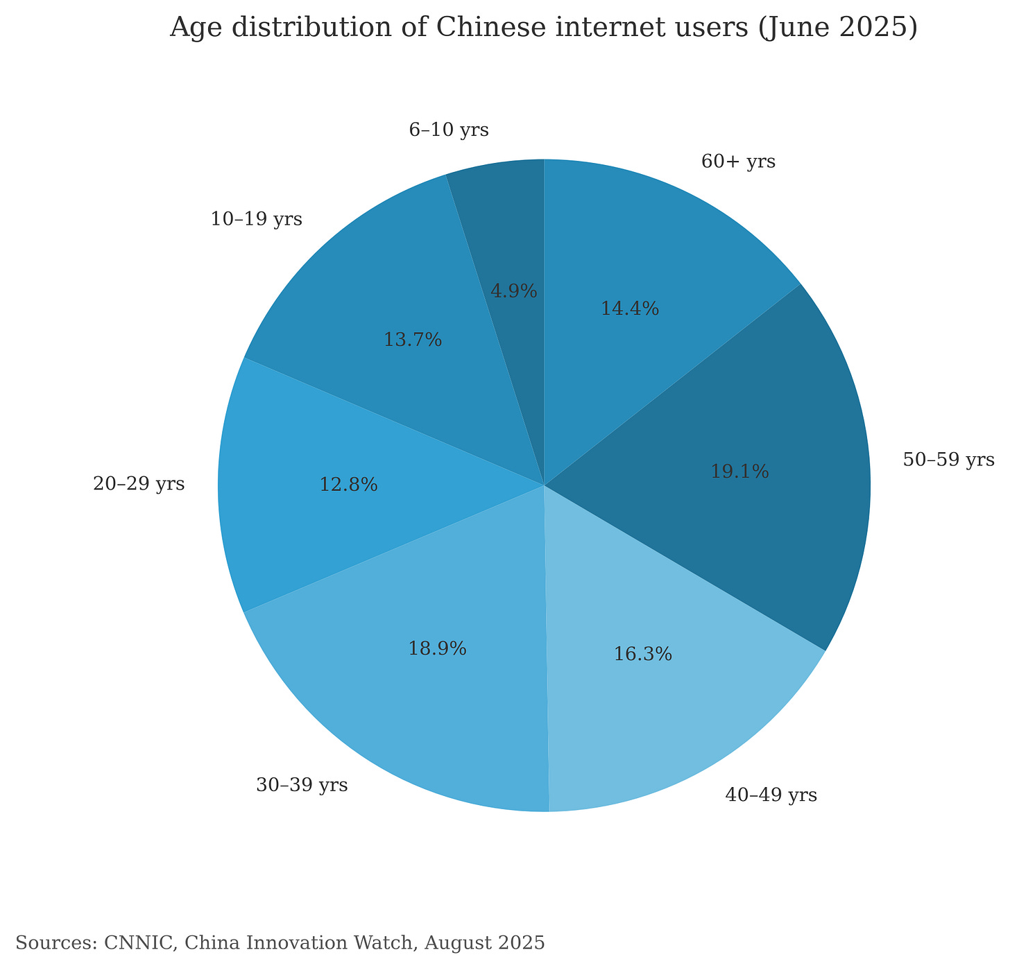 Pie chart of Chinese internet users by age, June 2025.