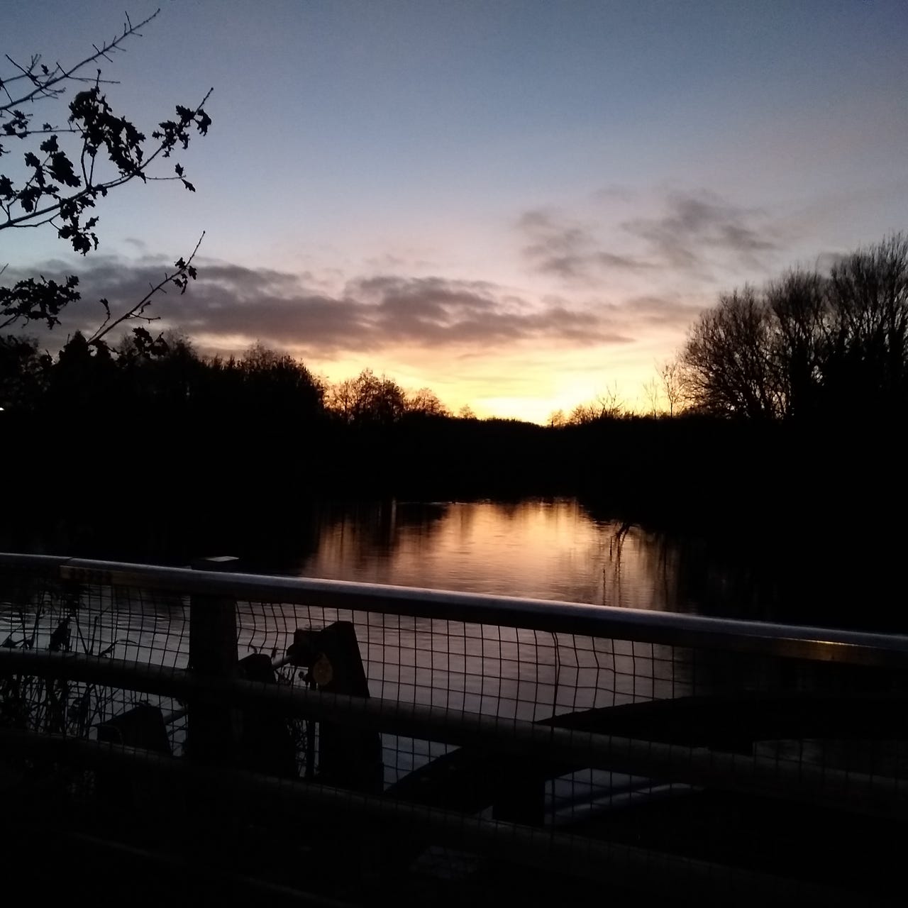 Fiona Mehta's Substack - Fiona Mehta not F.Mehta