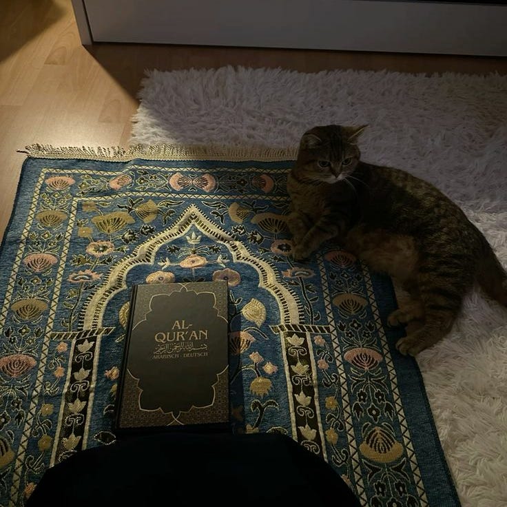 Quantum Barakāh Newsletter 