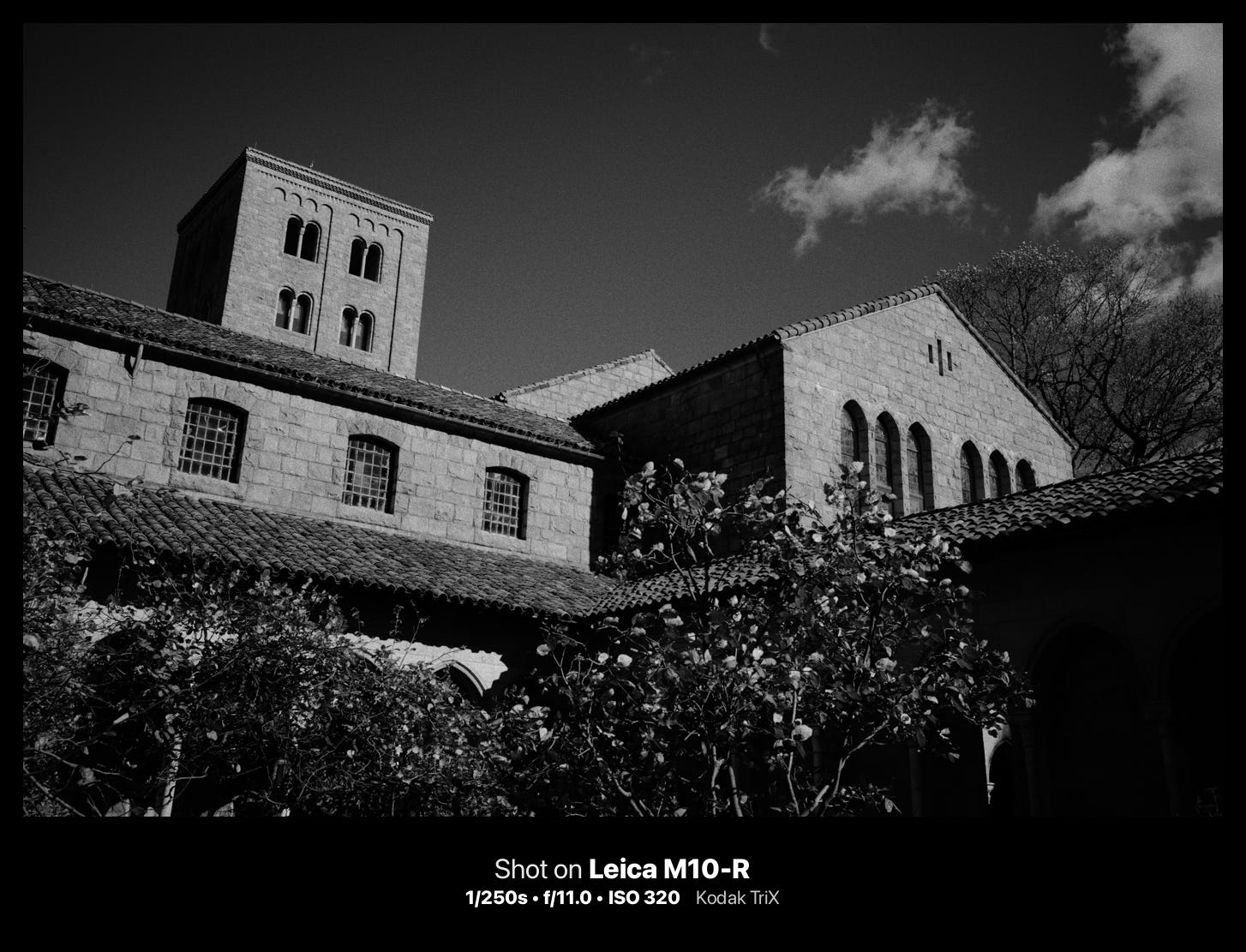 black and white photograph. cameraclara.com all rights reserved.