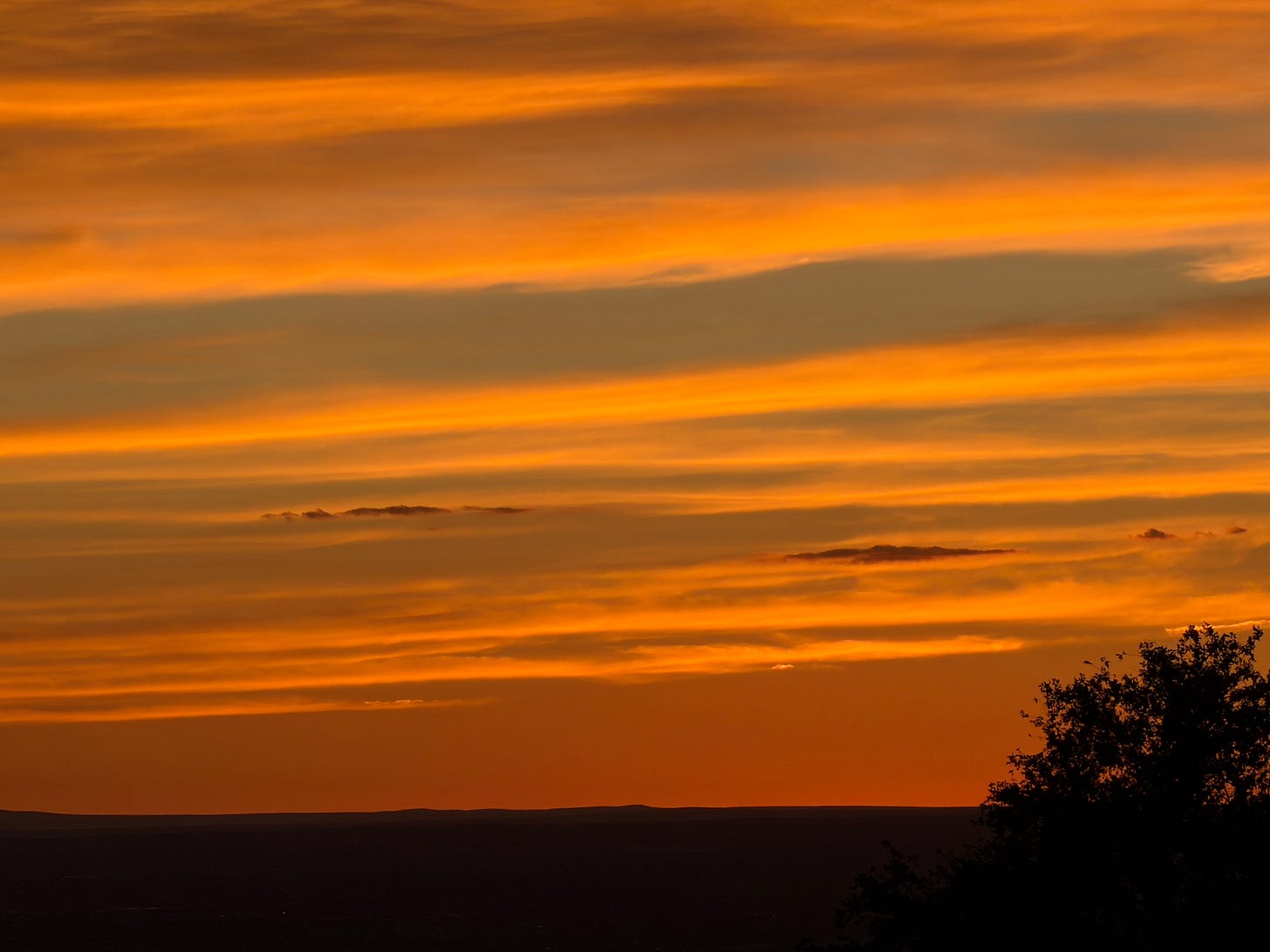A horizon line with a shrub in silhouette under a bright orange sky