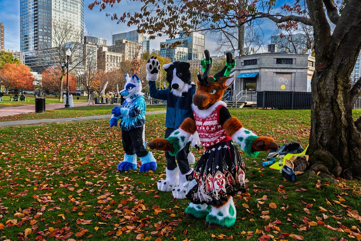 Three furries pose on the Boston Common lawn with fall leaves and city buildings behind them.