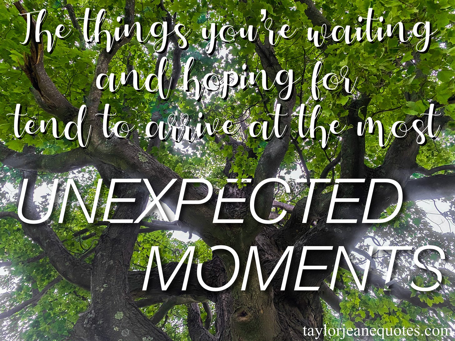 taylor jeane quotes, taylor jeane, taylor wilson, quote of the day, free quote of the day, daily quotes, positive quotes, motivational quotes, positive quotes, uplifting quotes, timing of life quotes, everything happens for a reason quotes, unexpected things quotes, hopeful quotes, positive quotes, encouraging quotes, light at the end of the tunnel quotes, memories quotes, sentimental quotes