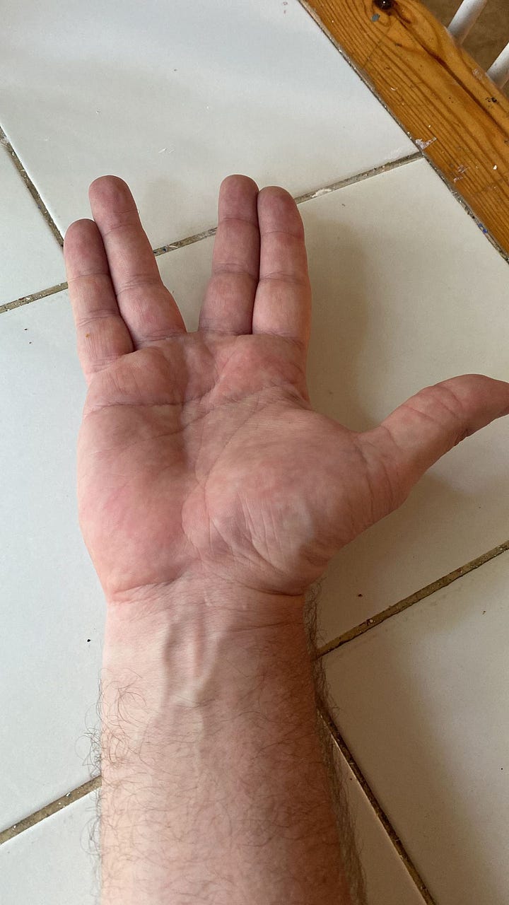 Hands doing the Spock hand gesture