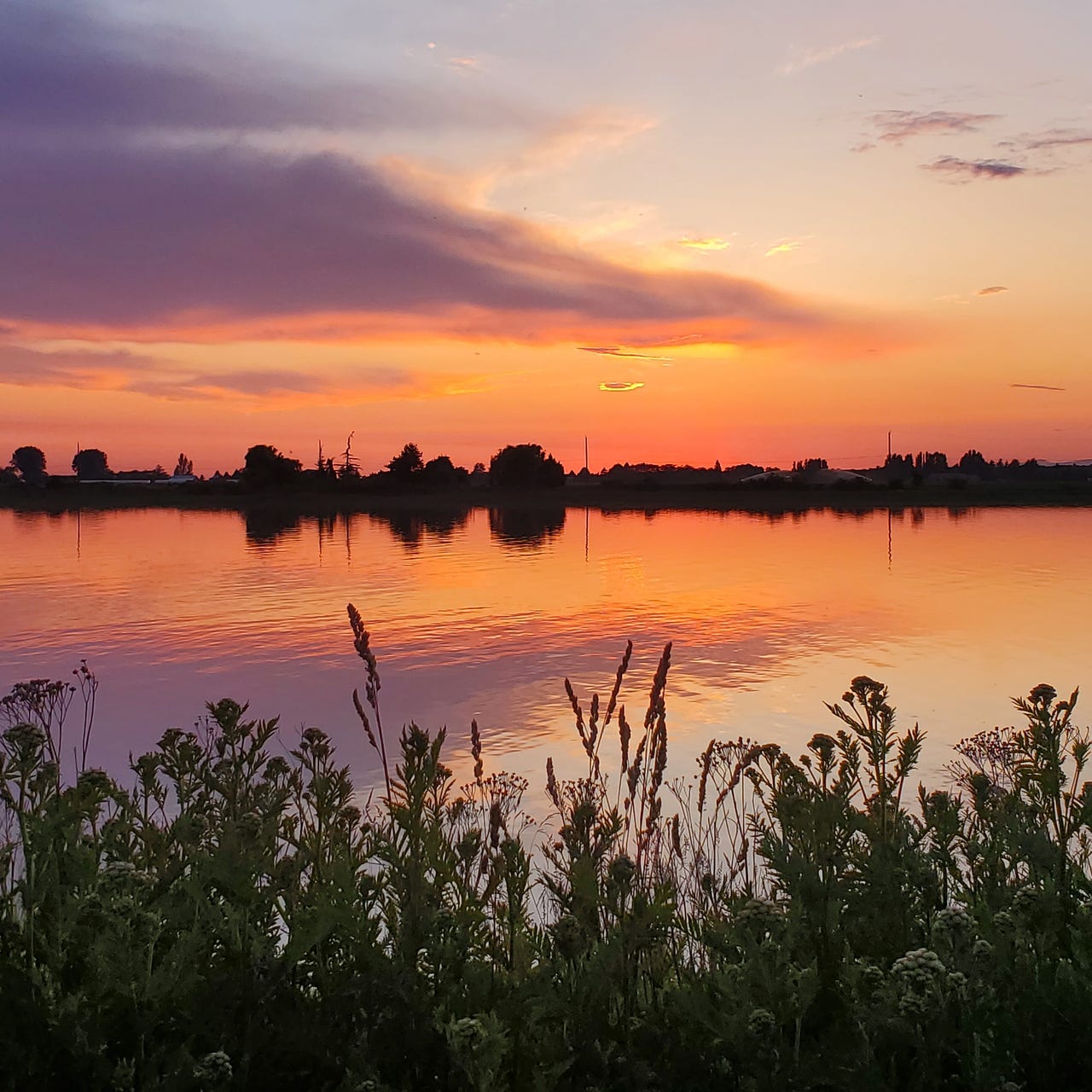 Midnight Musings and Early Morning Insights