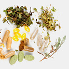 The 7 Pillars of Optimal Health