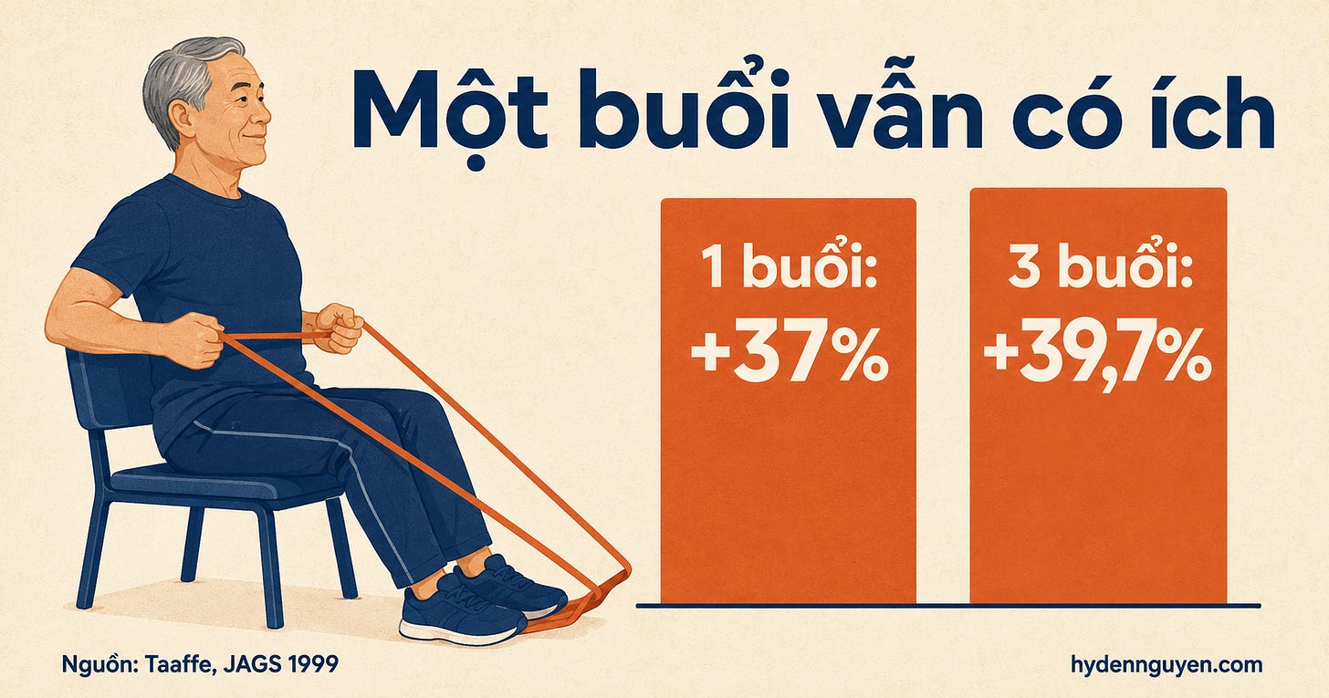 Minh họa một người đàn ông lớn tuổi tập kéo dây đàn hồi cạnh hai cột số liệu: một buổi mỗi tuần tăng 37% sức mạnh và ba buổi tăng 39,7%, theo thử nghiệm Taaffe năm 1999. Minh họa một người đàn ông lớn tuổi tập kéo dây đàn hồi cạnh hai cột số liệu: một buổi mỗi tuần tăng 37% sức mạnh và ba buổi tăng 39,7%, theo thử nghiệm Taaffe năm 1999.