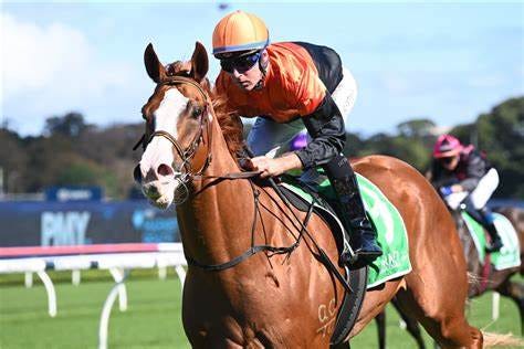 American President Thoroughbred Horse Profile - Next Race, Form, Stats ...