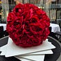 RhoMo's avatar