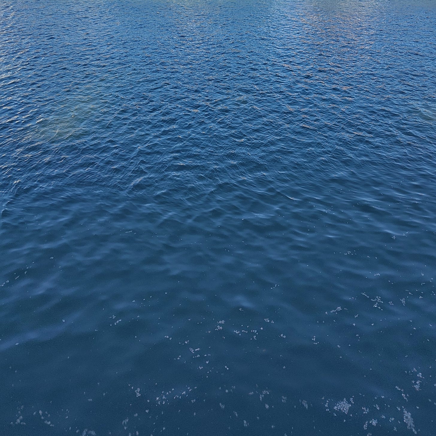 A body of deep blue water with ripples.