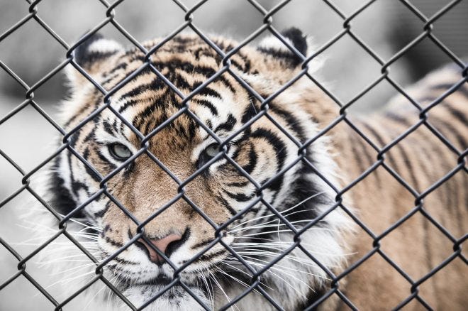 154: Your Calling is Not a Cage: Interview with Dan Cumberland 154: Your Calling is Not a Cage: Interview with Dan Cumberland