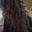 Maisy's avatar