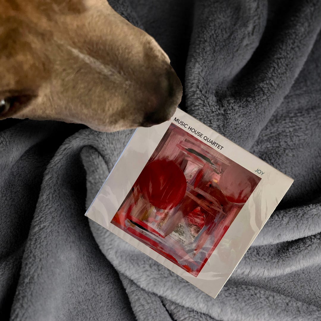 a golden furred dog's muzzle hovers over an unwrapped CD case on a gray blanket