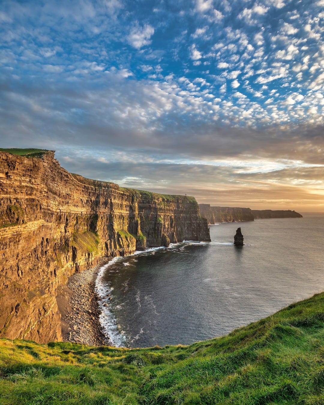 No photo description available.