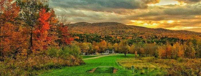 Disc Golf Foliage View Disc Golf Foliage View