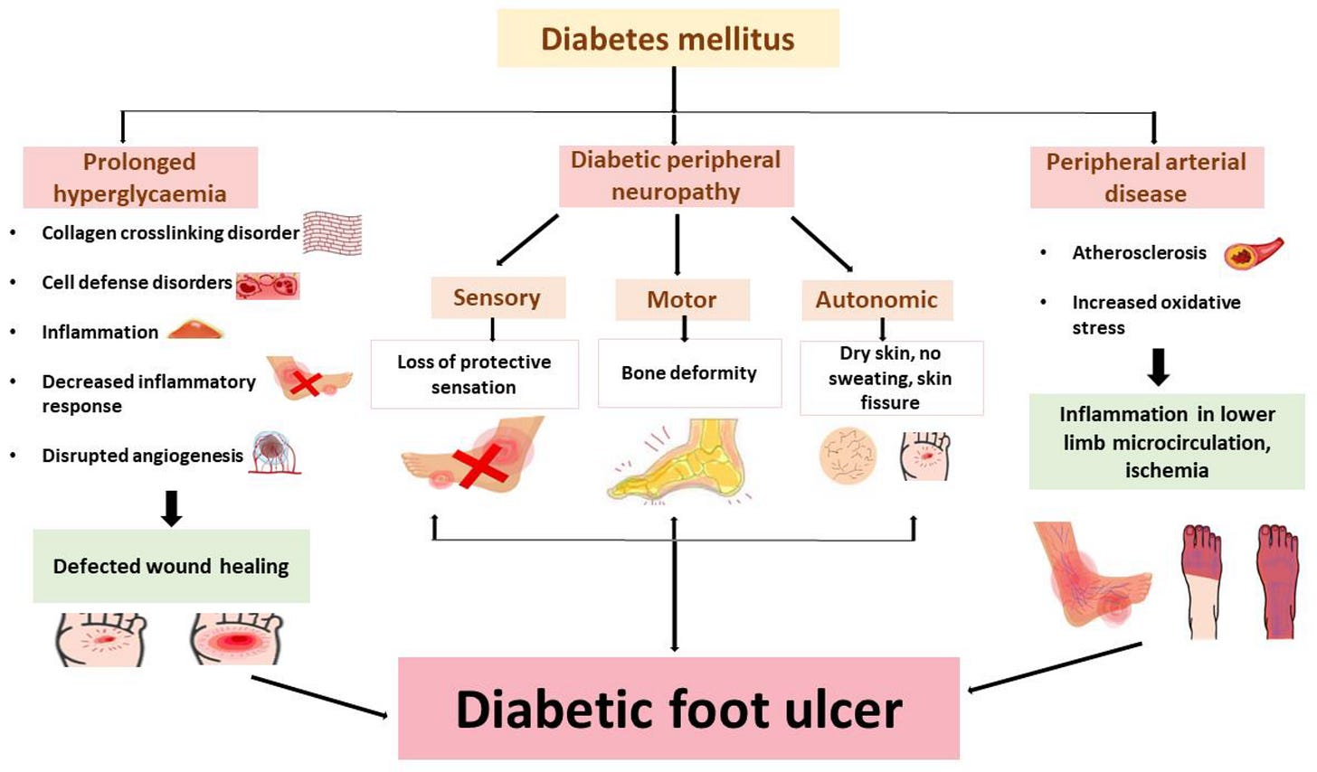 Hyperglycaemia-Linked Diabetic Foot Complications and Their Management ...