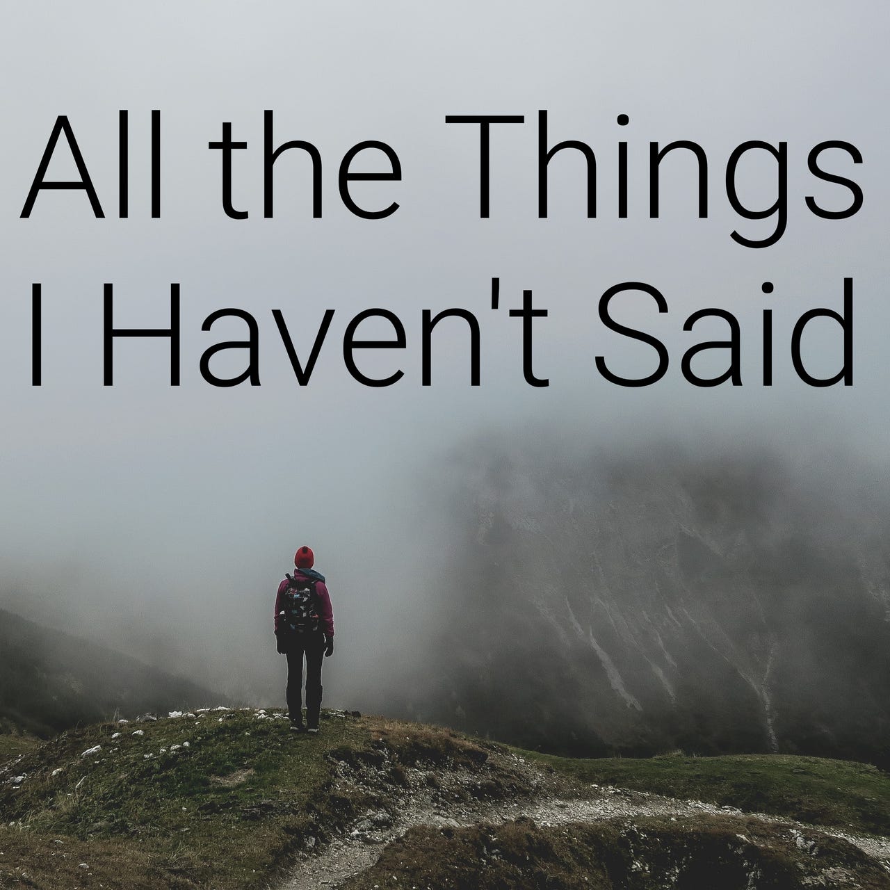 All the Things I Haven't Said Substack by David Libby | Insights from ...