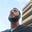 Ahmed's avatar