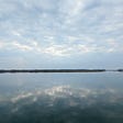 Bullfish Hole