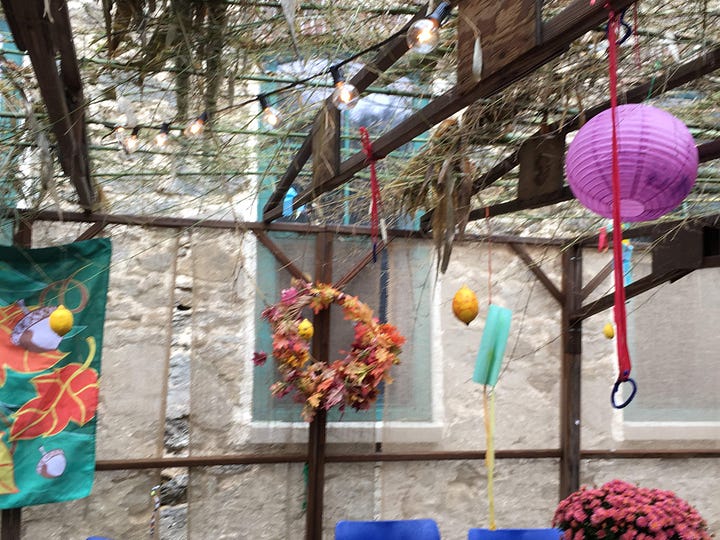 slats of wood and a blue sky; a finished sukkah with branches and decorations.
