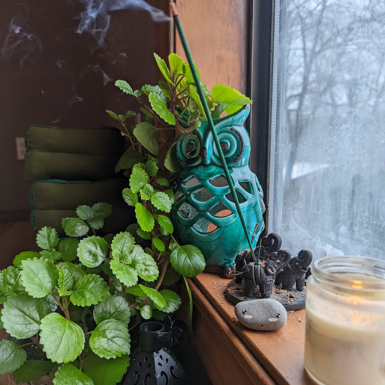 The Trauma Doula Network