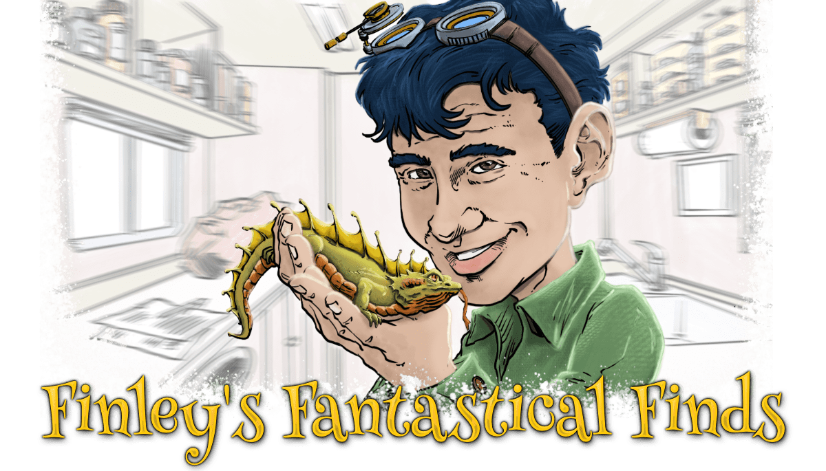 Finley's Fantastical Finds