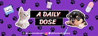 A Daily Dose With Cammy