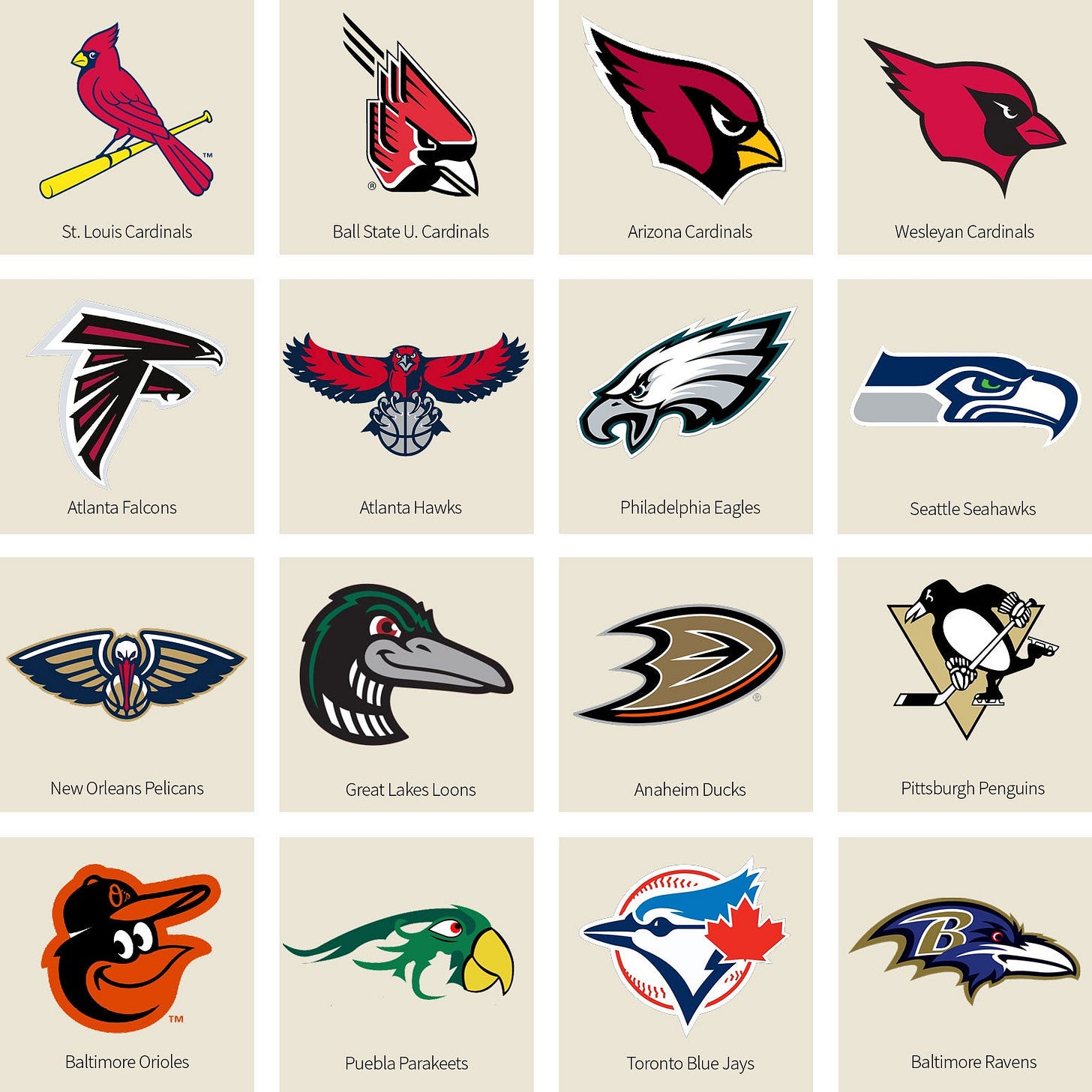 Bracket: What's The Best Bird-Named Sports Team? We Have a Winner | Audubon