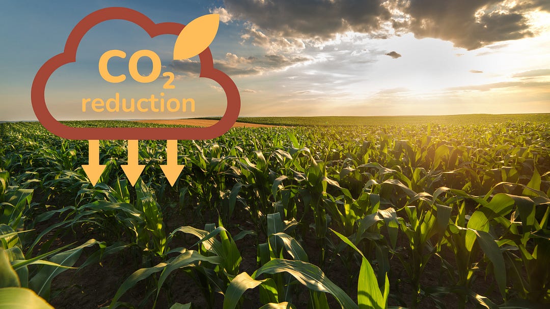 A vibrant green cornfield stretches into the horizon under a partly cloudy sunset sky. Overlaid on the image is a graphic showing a cloud with the text “CO₂ reduction” and arrows pointing downward, symbolizing carbon capture in agricultural fields