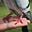 Ramble Bird Dixon's avatar