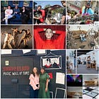 Culture Digest 24.04.26