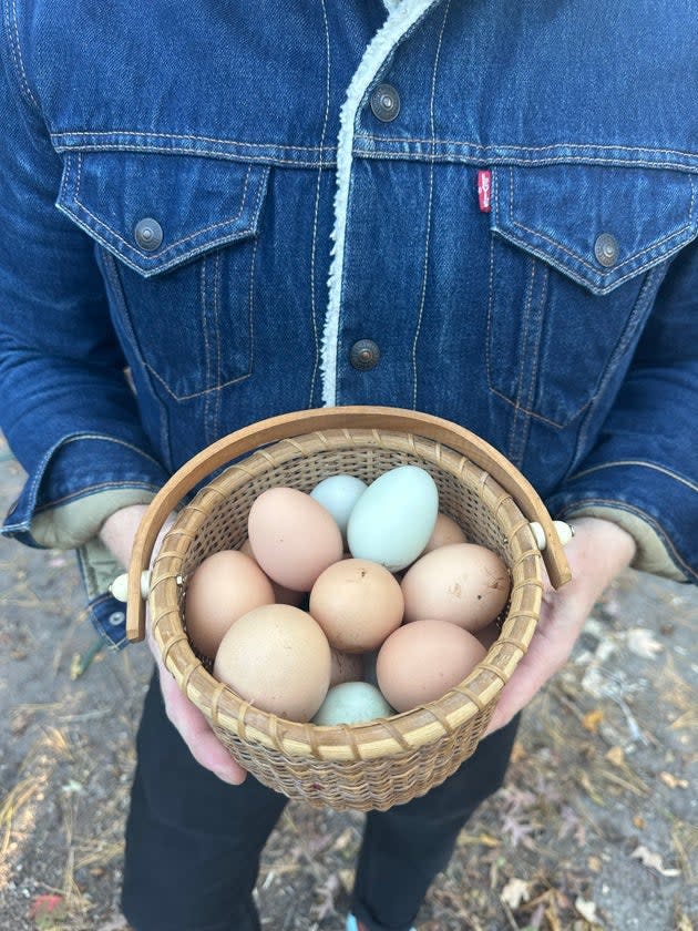 The author with a bounty of eggs.