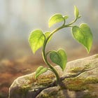 206 The War Within, The Peace Beyond