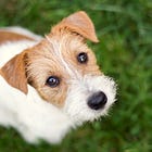 30 days of ADM: Day 2 September 30, 2022