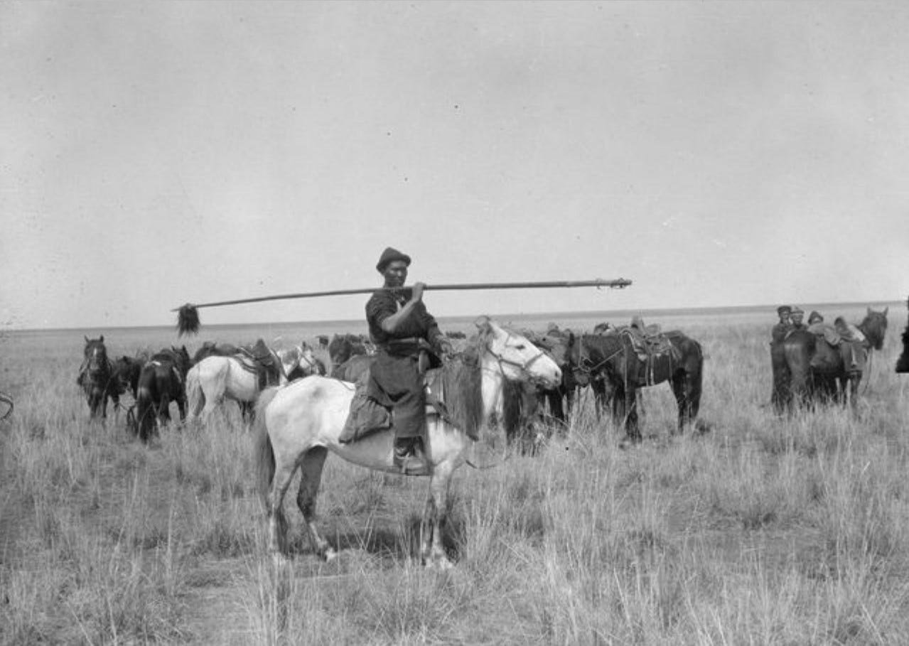 Калмыки в лагере Маннергейма