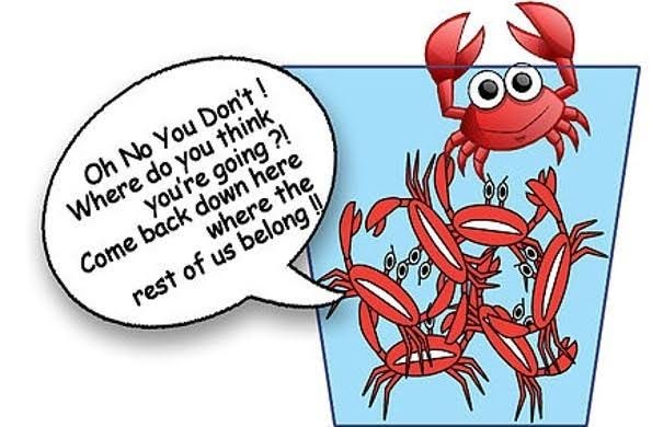 Have you heard the story of the crabs in a bucket?
