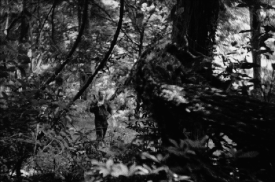 #gif from chaptertwo-thepacnw