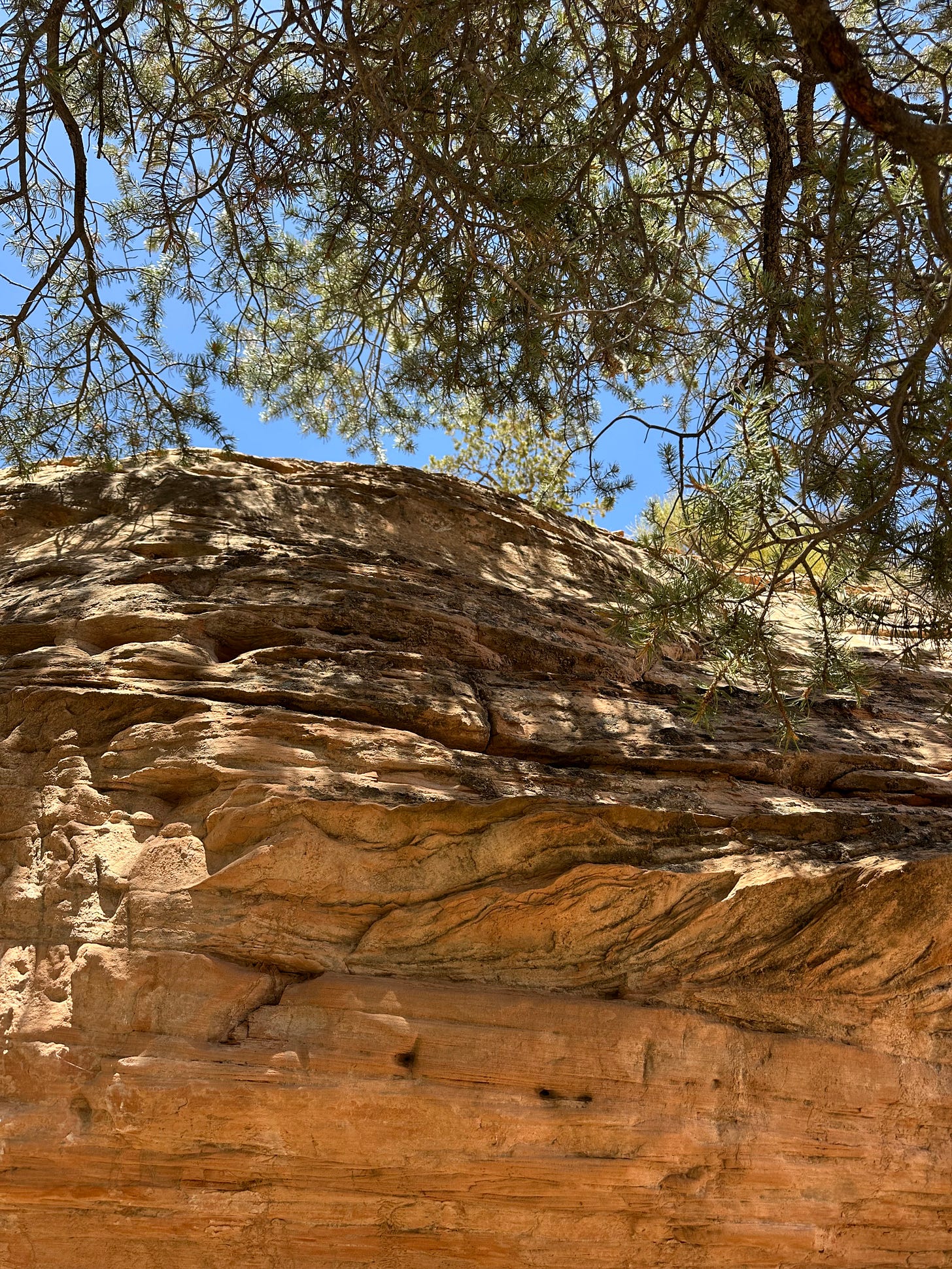 Orange sandstone along the trail