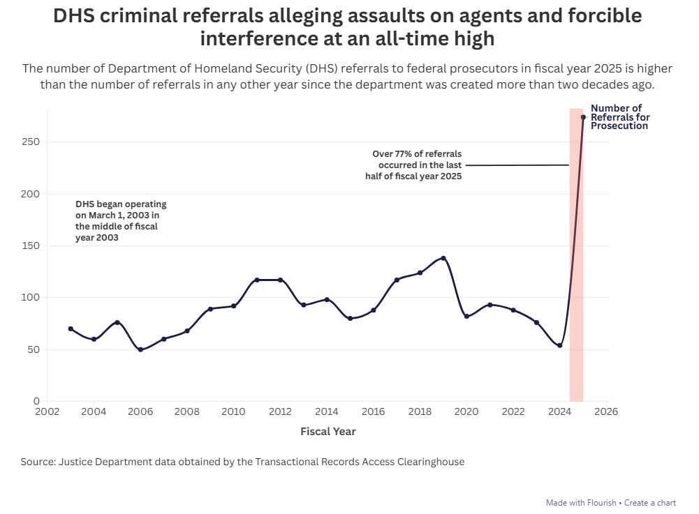 DHS Assault Cases Spiked to a Record High. Experts and Judges Have ...