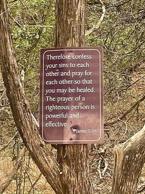 A photo of one of the friendly donkeys I met on my walk. The trail photos show the scriptures posted on the trees and the challenging steps that give me a great workout.