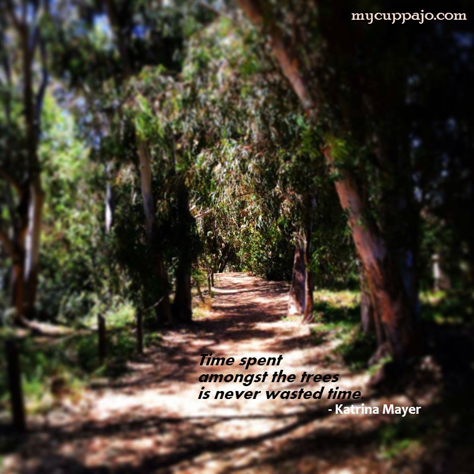 Time spent in trees is never wasted - get outside. Restore your mind, body, and soul. Time spent in trees is never wasted - get outside. Restore your mind, body, and soul.