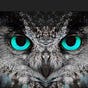 OwlEyes's avatar